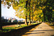 Lucca le mura urbane