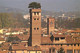 Lucca Torre Guinigi